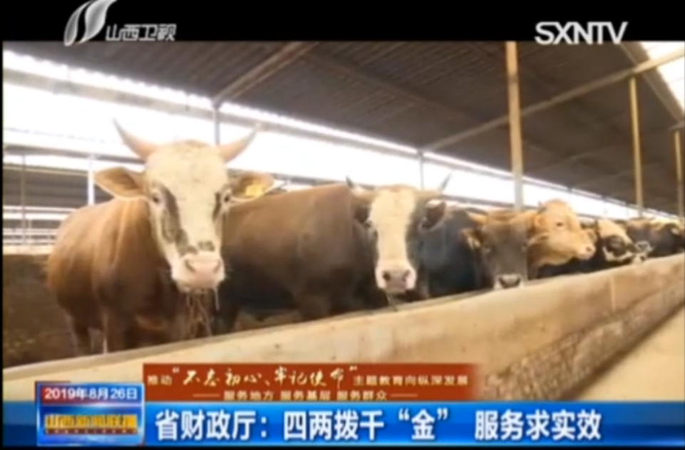 图片4.png 图片4.png