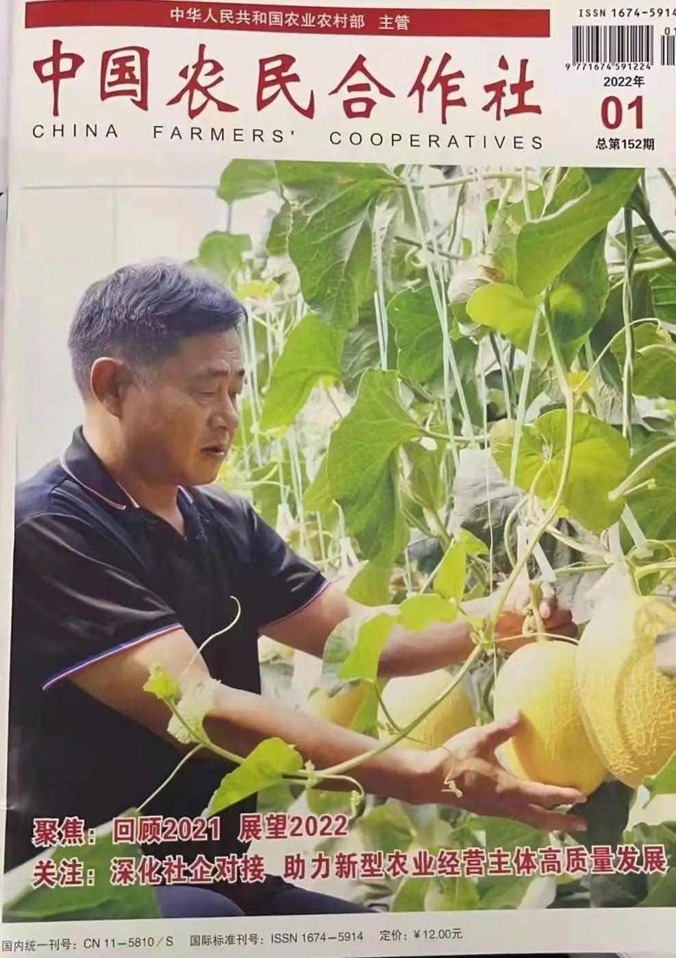 报2.jpg