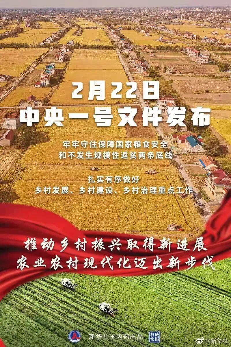 乡村振兴.jpg