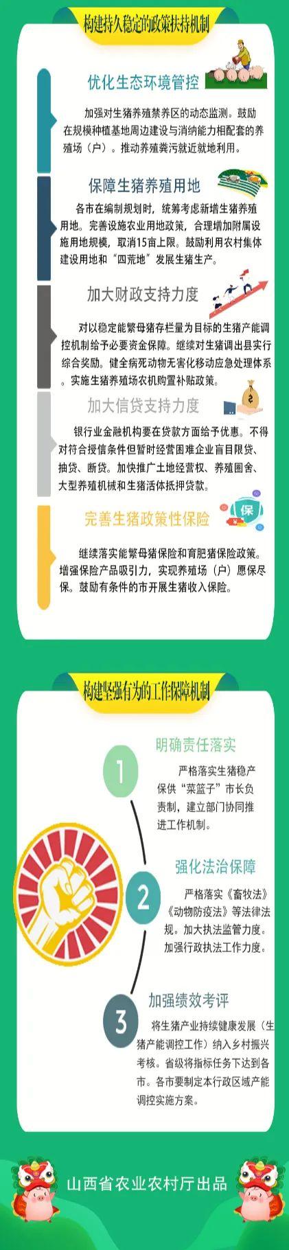 生猪3.jpg